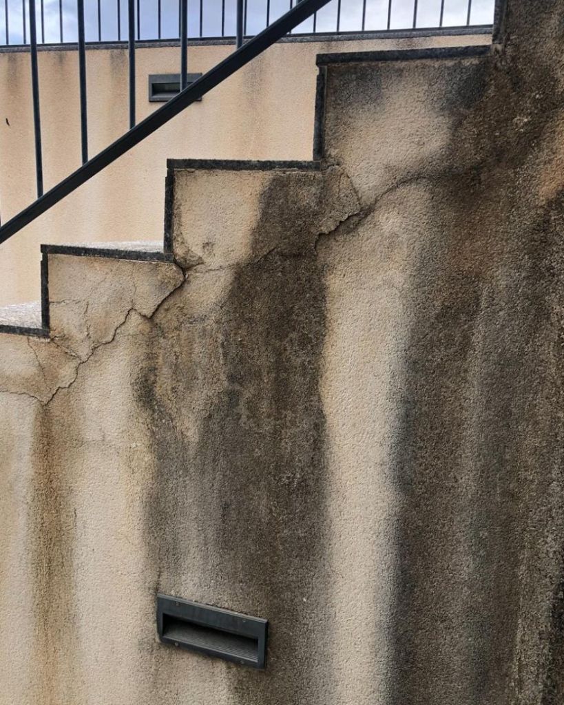 Pared con humedades reparada (antes)